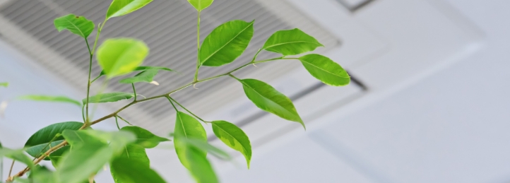 Indoor Air Quality
