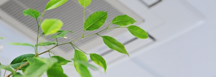 Indoor Air Quality
