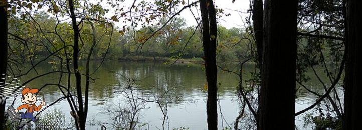 Smyrna